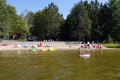 1050268-w804-h550-800x534