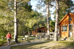 1050301-w804-h550-800x481